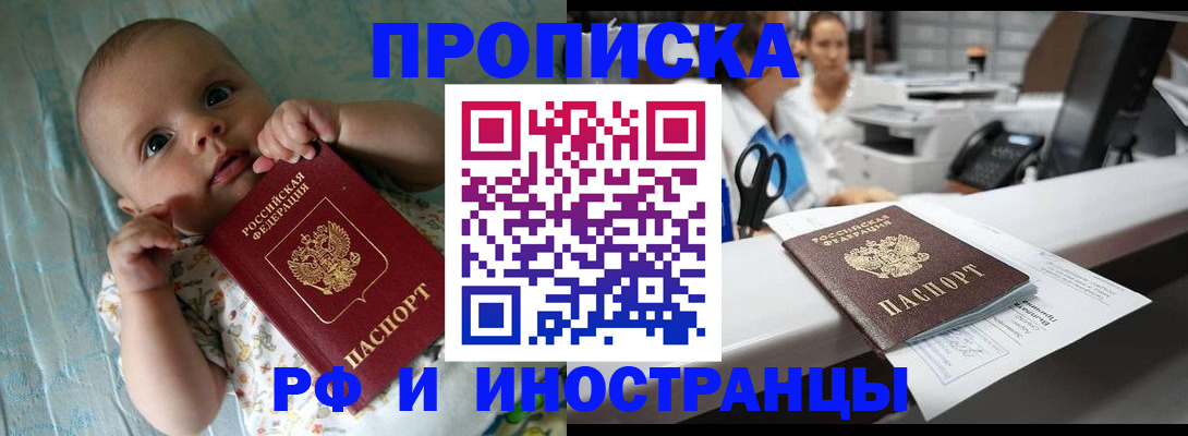 прописка поиск в Чкаловске